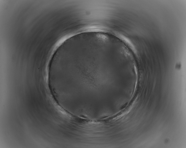 X0000101091419200807101538