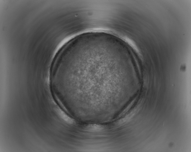 X0000101091420200807101538