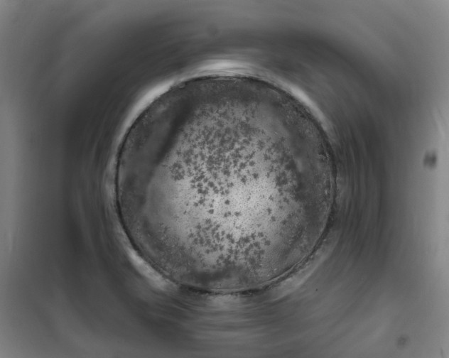 X0000101091421200807101538