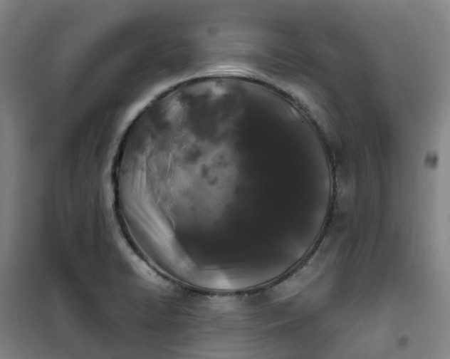 X0000101091422200807101538