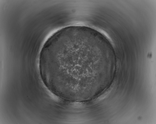 X0000101091424200807101538