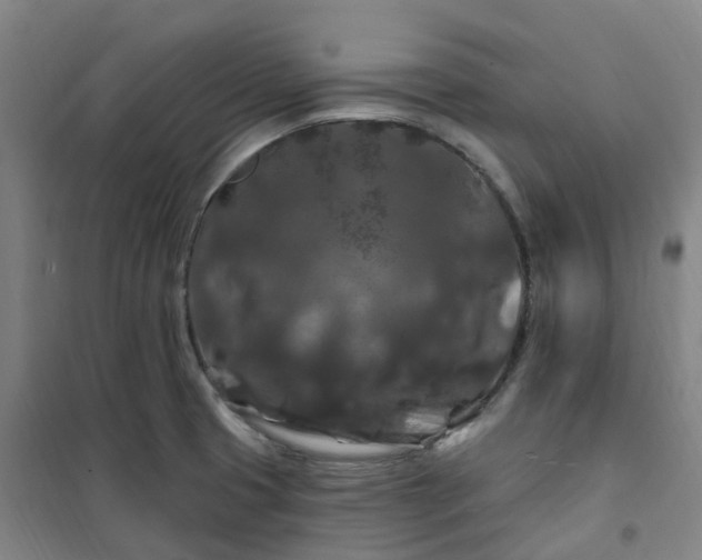 X0000101091425200807101538