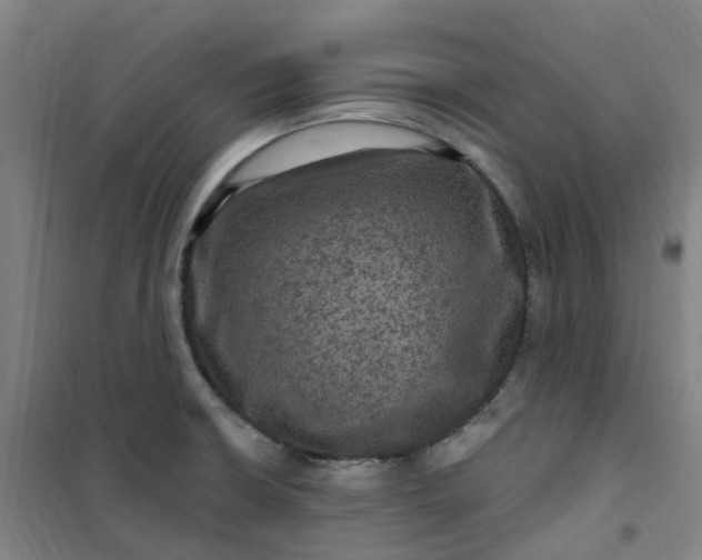 X0000101091426200807101538