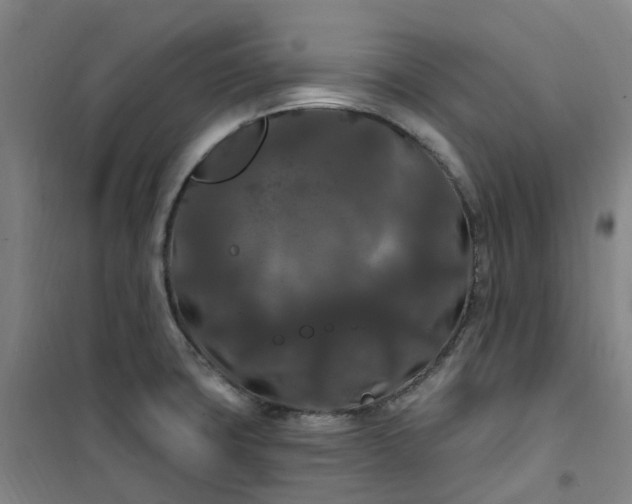 X0000101091427200807101538