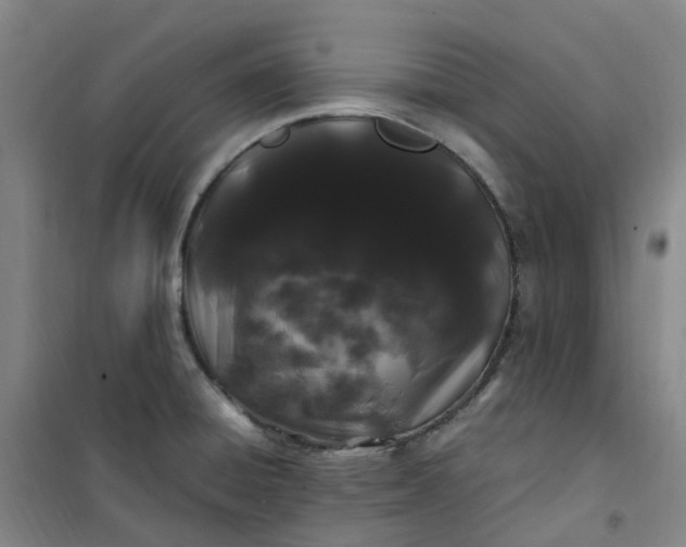 X0000101091428200807101538