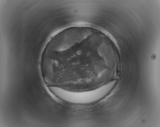 X0000101091429200807101538