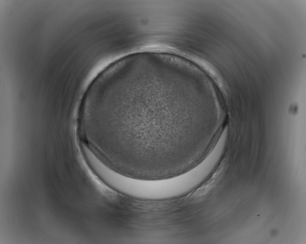 X0000101091430200807101538