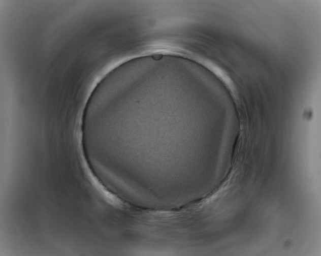 X0000101091431200807101538