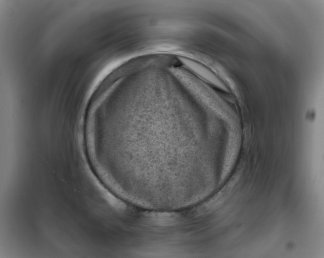 X0000101091432200807101538