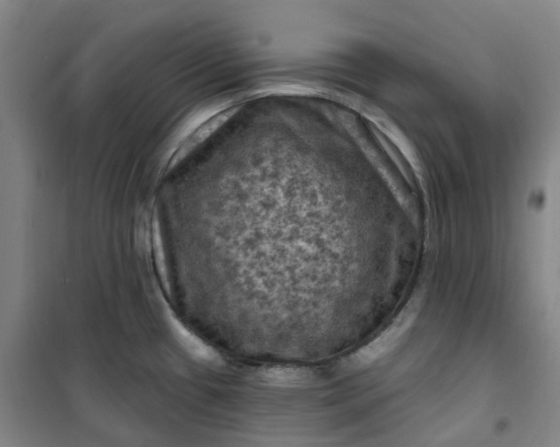 X0000101091433200807101538