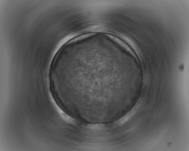 X0000101091434200807101538