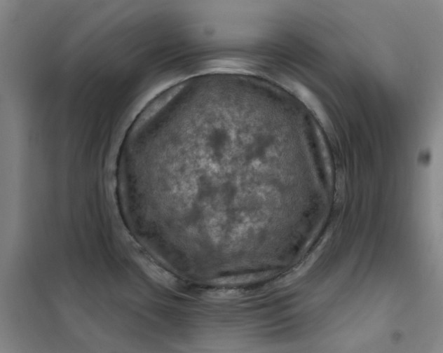 X0000101091435200807101538