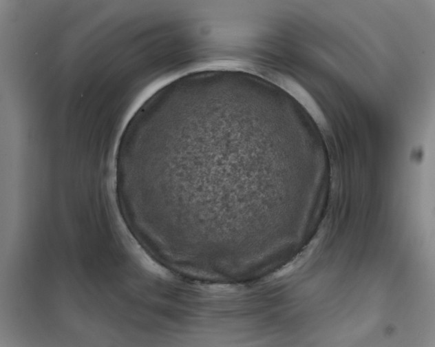 X0000101091436200807101538