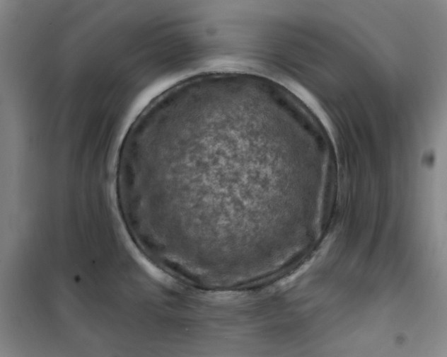 X0000101091437200807101538