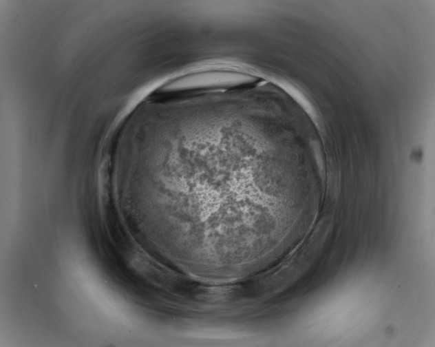 X0000101091438200807101538