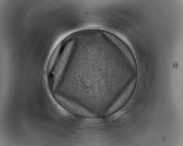 X0000101091440200807101538