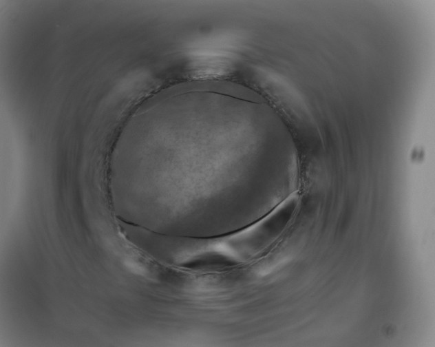 X0000101091441200807101537