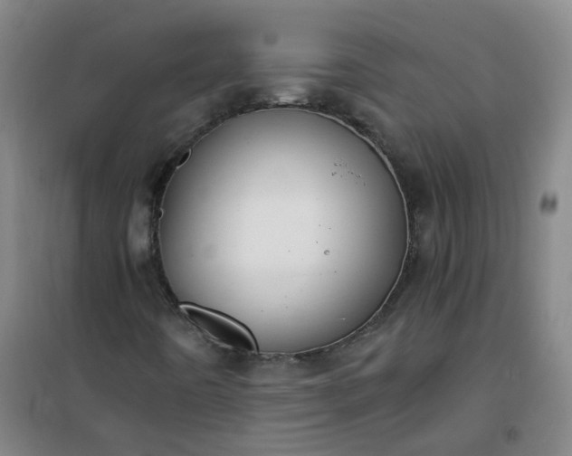 X0000101091442200807101537