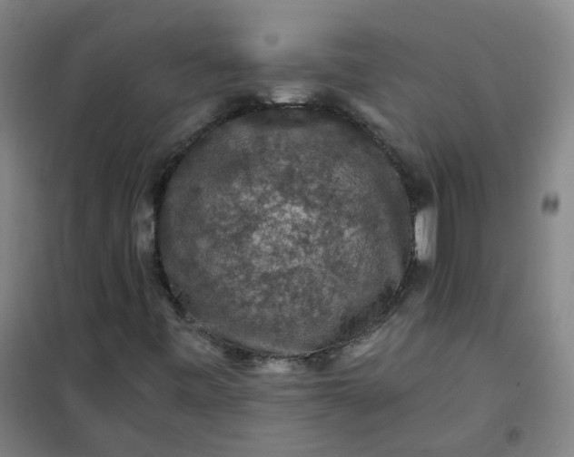 X0000101091443200807101537