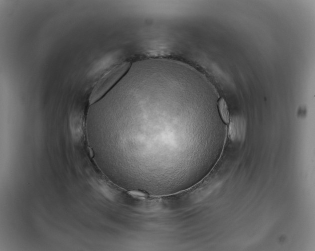 X0000101091444200807101537