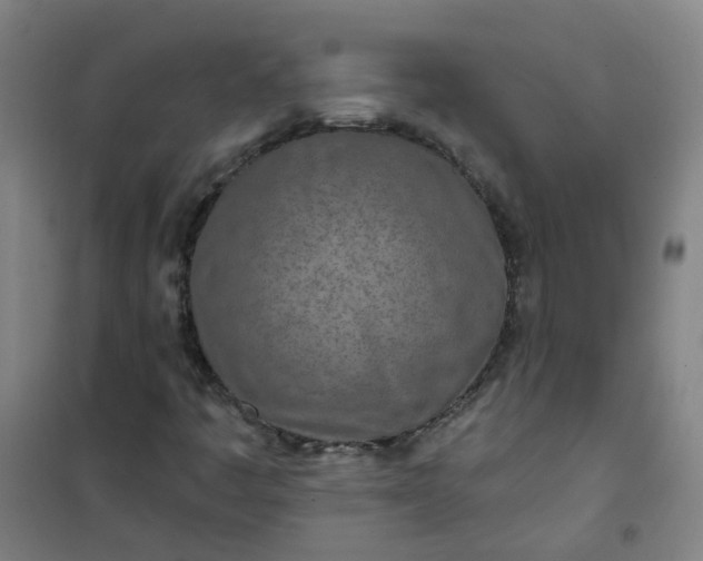 X0000101091445200807101537