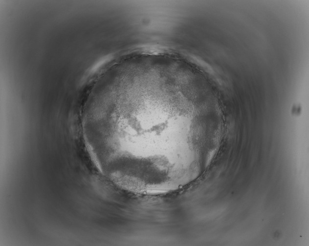 X0000101091446200807101537