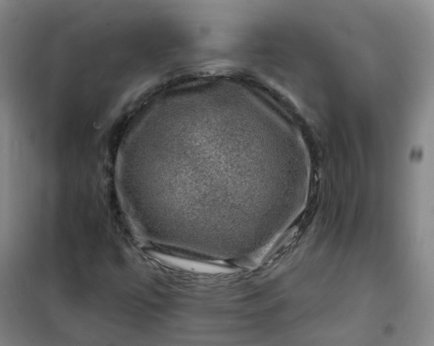 X0000101091447200807101537