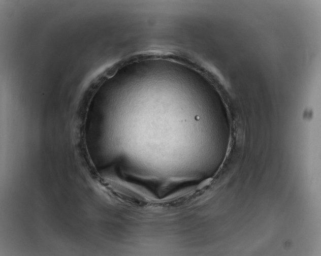 X0000101091448200807101537