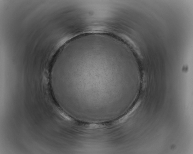 X0000101091449200807101537