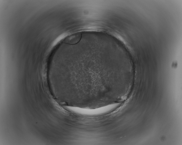 X0000101091450200807101537