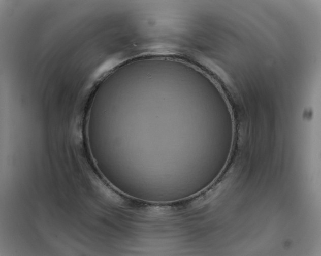 X0000101091451200807101537