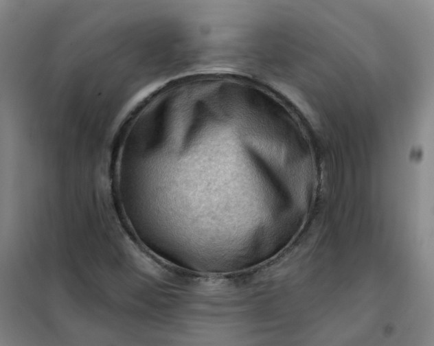 X0000101091452200807101537