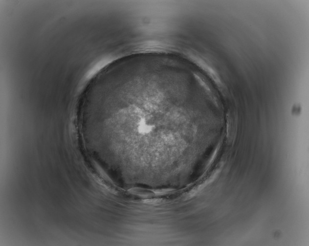 X0000101091453200807101537