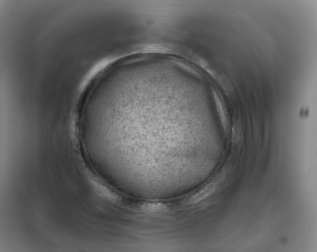 X0000101091454200807101537