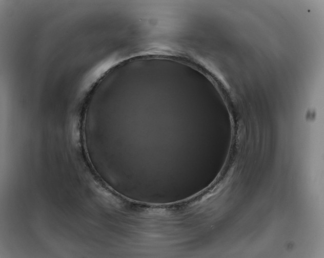 X0000101091455200807101537