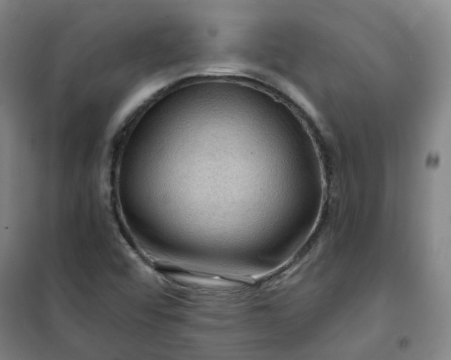 X0000101091456200807101537