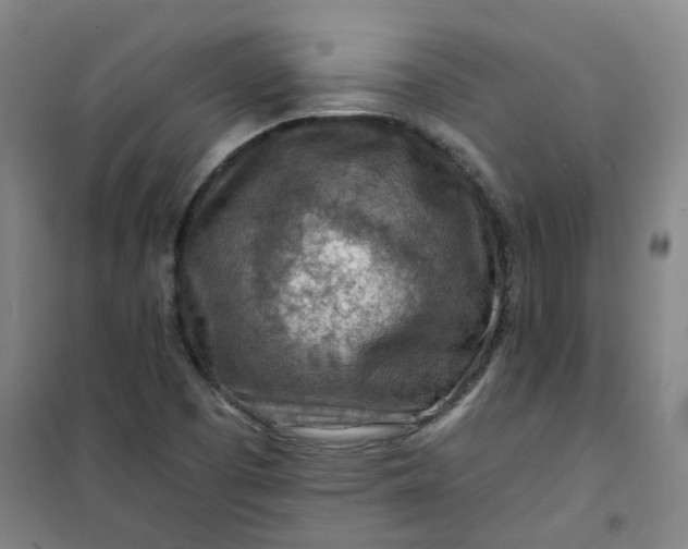 X0000101091457200807101537