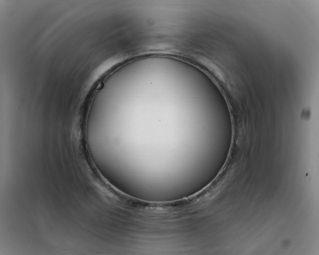 X0000101091458200807101537