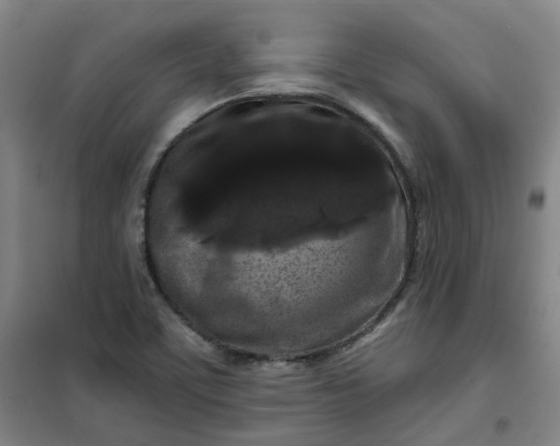 X0000101091459200807101537