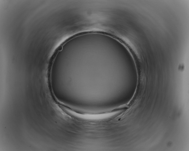 X0000101091460200807101537