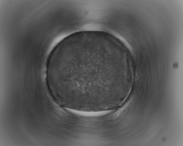 X0000101091461200807101537