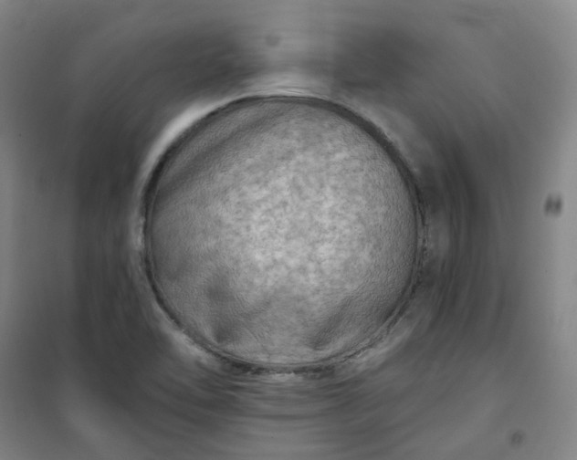 X0000101091462200807101537