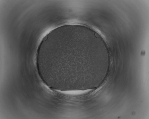 X0000101091463200807101537