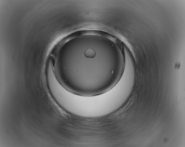 X0000101091464200807101537