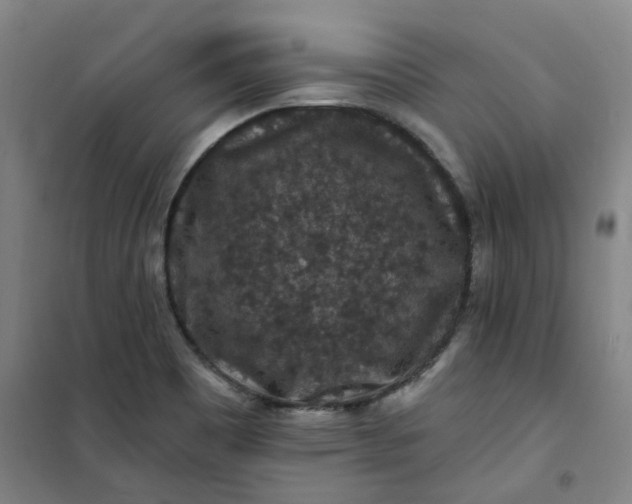 X0000101091465200807101537