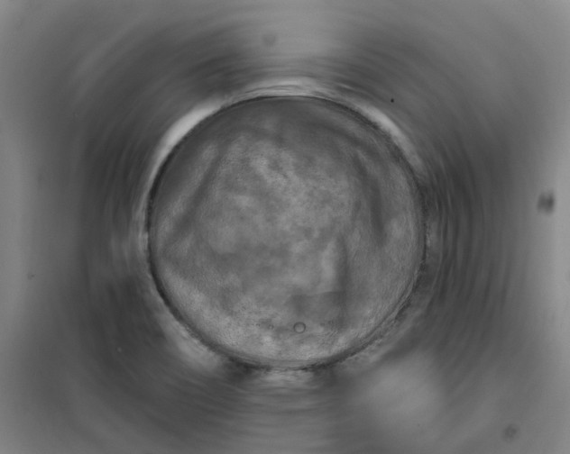 X0000101091466200807101537