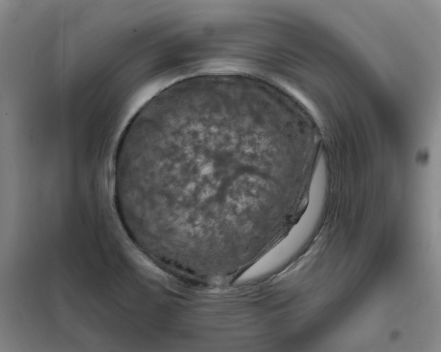 X0000101091467200807101537