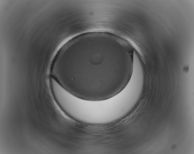 X0000101091468200807101537