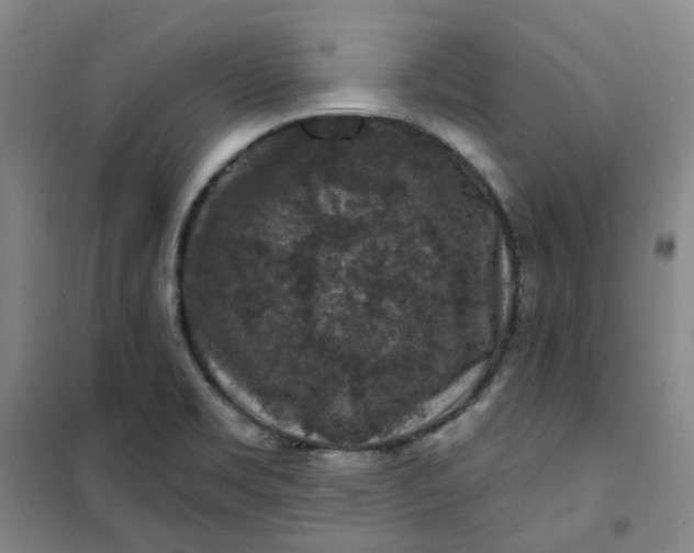 X0000101091469200807101537