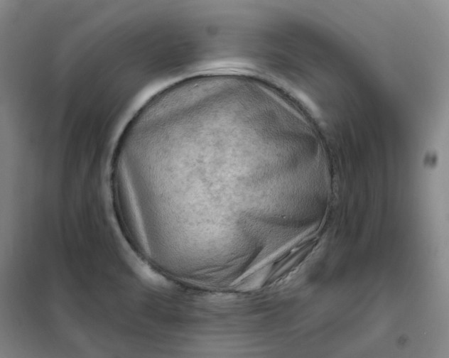 X0000101091470200807101537